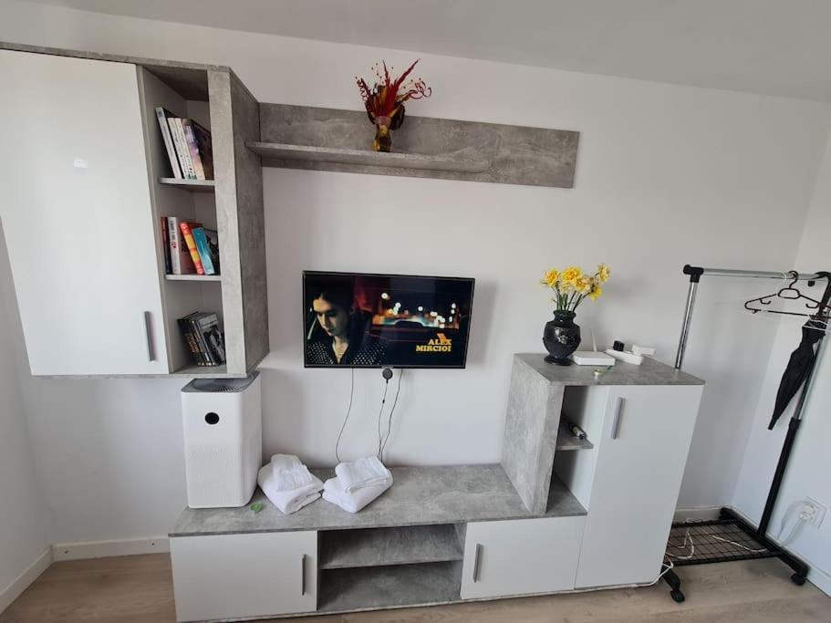 Garsoniera - Moderna - Timisoara Apartment Ngoại thất bức ảnh